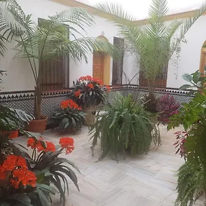 Apartamento Calle Leiva Cordova